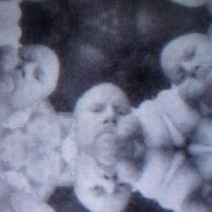 Meet your Posher, Youknow